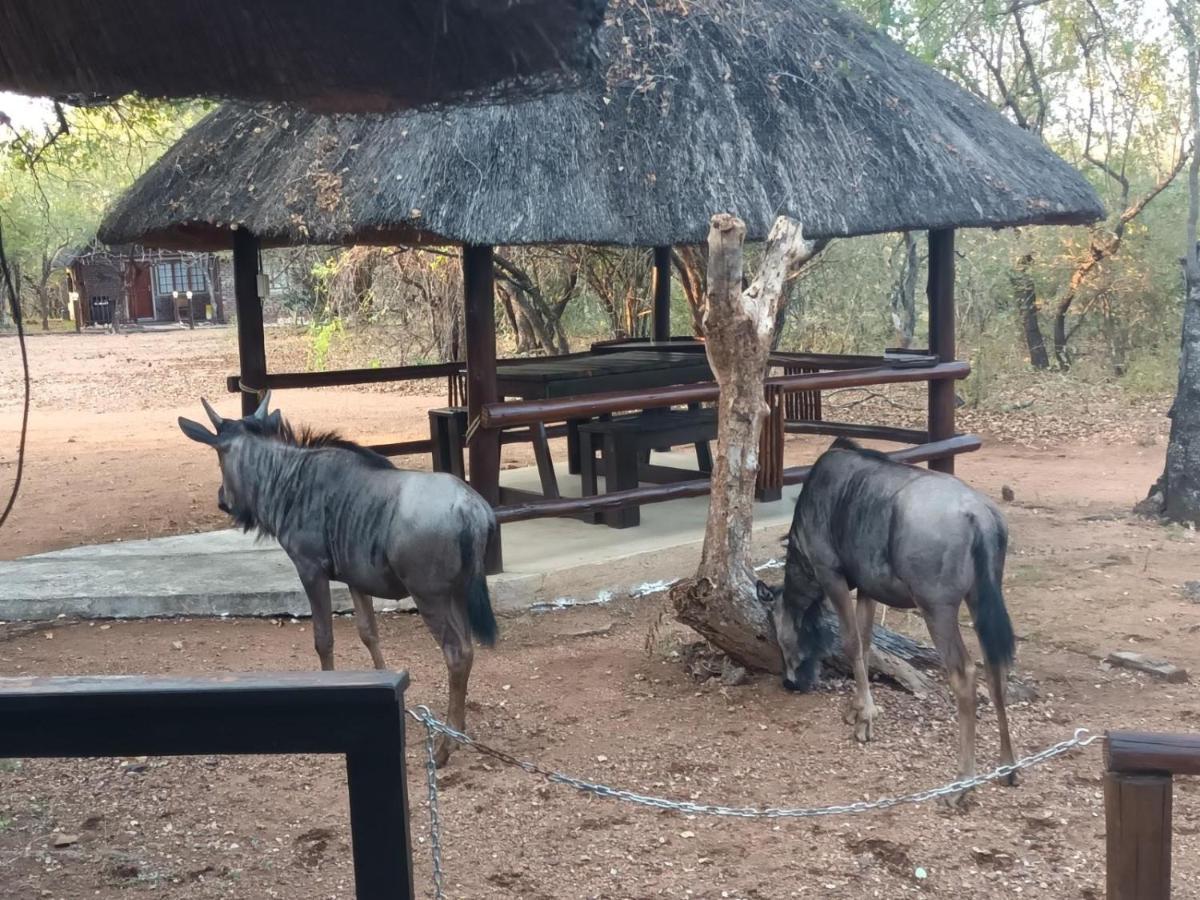 South Safari Lodge マールロス・パーク エクステリア 写真