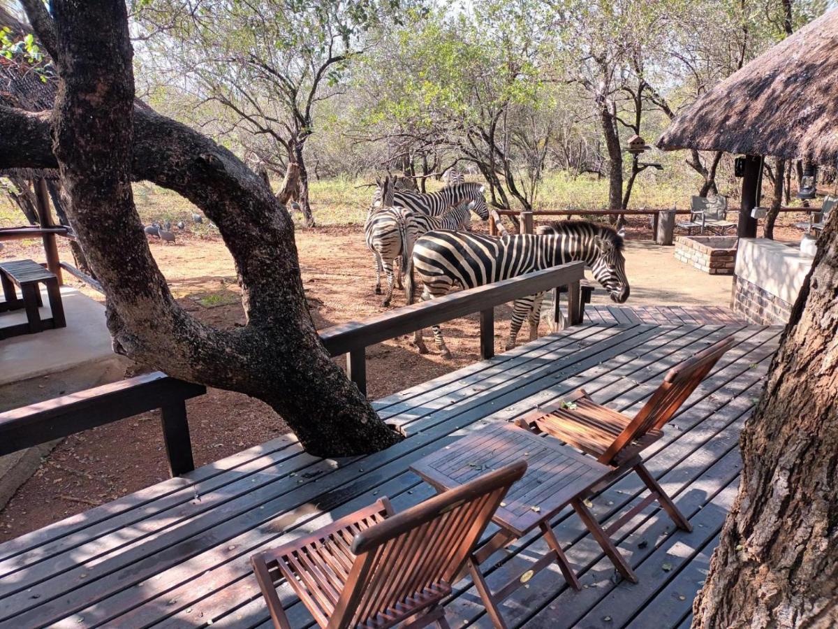South Safari Lodge マールロス・パーク エクステリア 写真